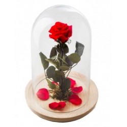 Detalle rosa preservada