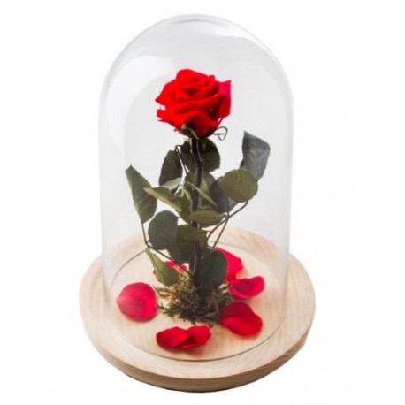 Detalle rosa preservada