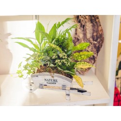 Carretilla de plantas