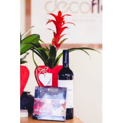 Composición planta, vino y bombones