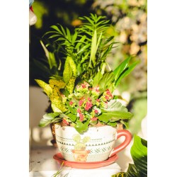 Taza con plantas