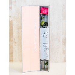 Rosa preservada con caja