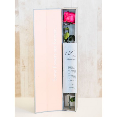 Rosa preservada con caja