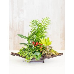 Cesta de plantas maxi