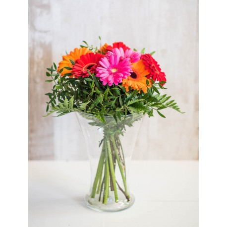 Ramo de Gerberas Multicolor