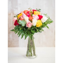 24 rosas multicolor de tallo largo