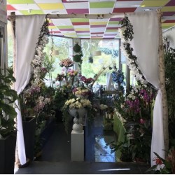 Arco Natural en Alquiler