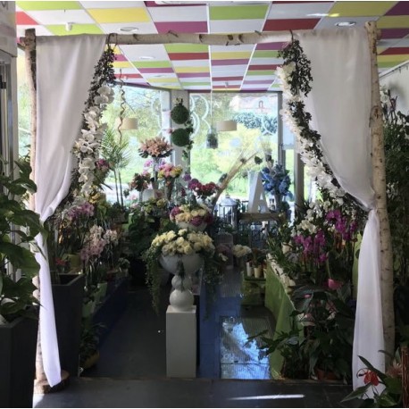 Arco Natural en Alquiler