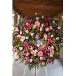 Corona Mod-D Silvestre